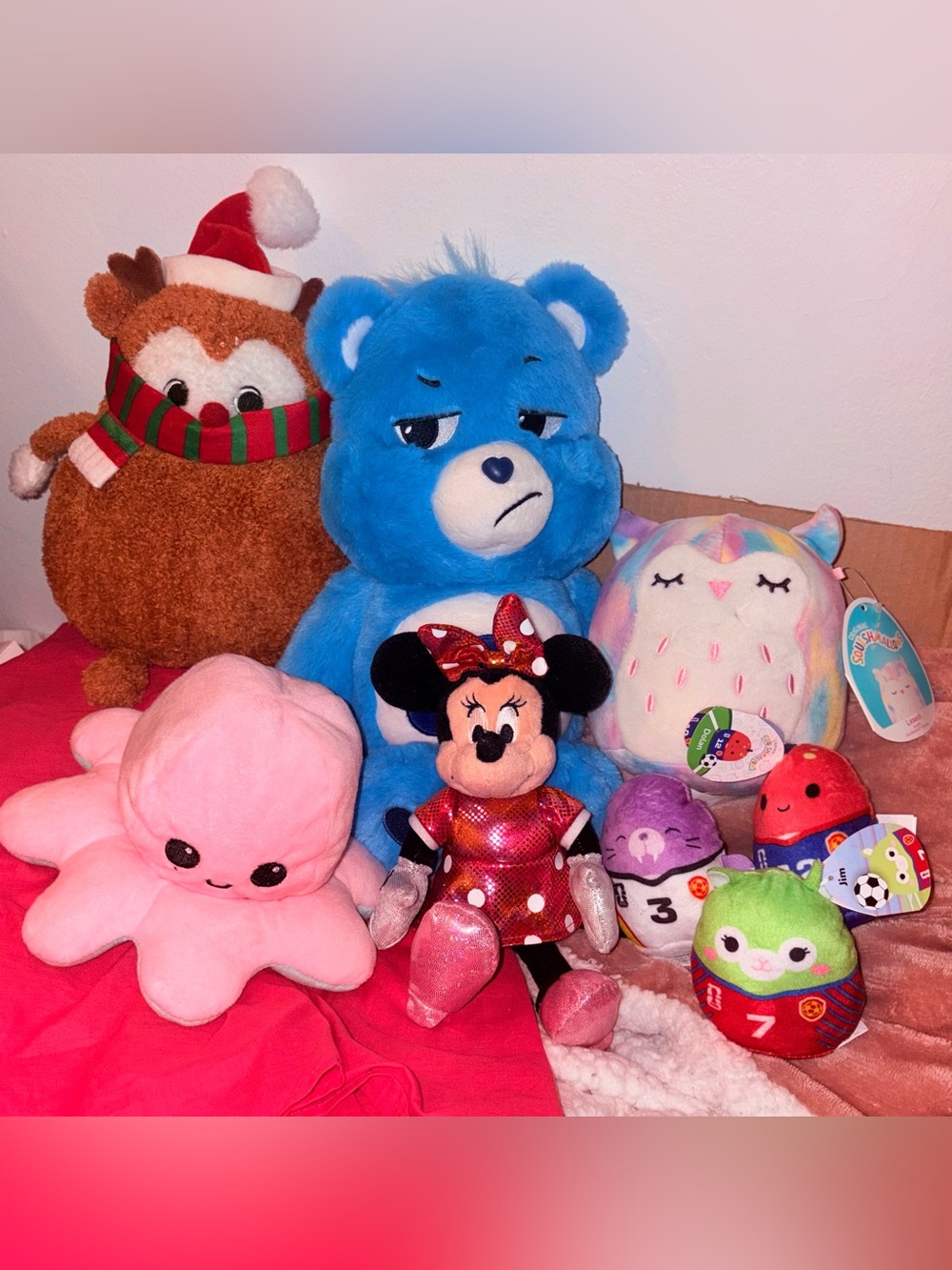 Stuffed animal basket squishmallows and carebear